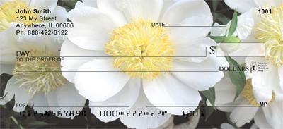 White Peonies