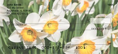 Narcissus
