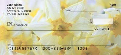 Narcissus
