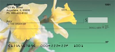 Narcissus