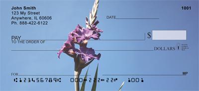 Gladiolus