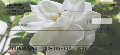 Gardenias