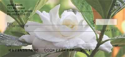 Gardenias