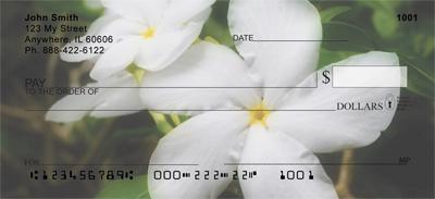Gardenias