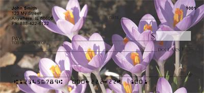 Lilacs