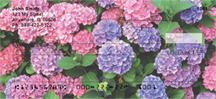 Hydrangeas