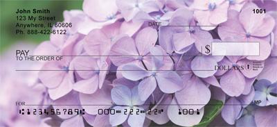 Hydrangeas