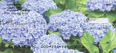 Hydrangeas