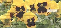 Yellow Pansies