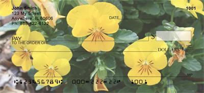 Yellow Pansies