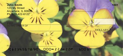 Yellow Pansies