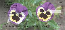 Purple Pansies