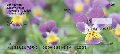 Purple Pansies