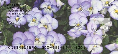 Purple Pansies