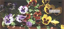 Potted Pansies