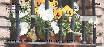 Potted Pansies