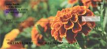 Marigold Field