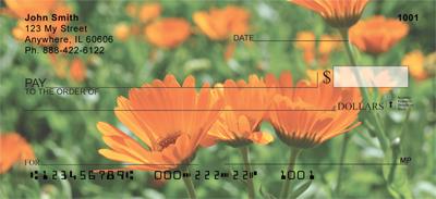 Marigold Field