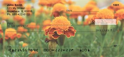 Marigold Field