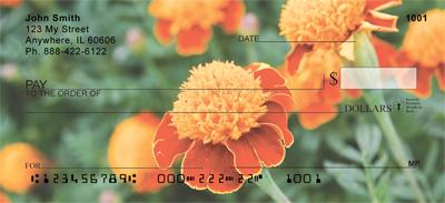 Marigold Field