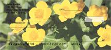 Marsh Marigolds