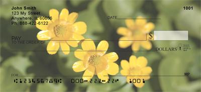 Marsh Marigolds
