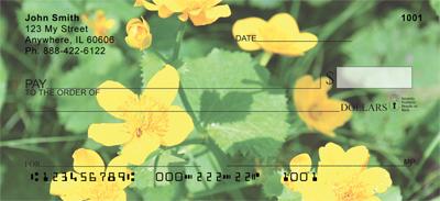 Marsh Marigolds