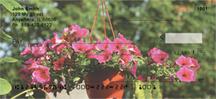 Potted Petunias