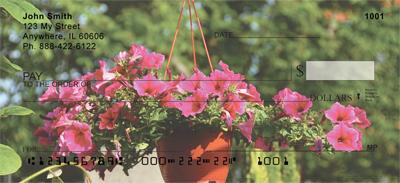 Potted Petunias