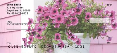 Potted Petunias