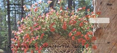 Potted Petunias