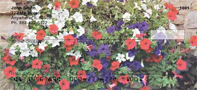 Petunias