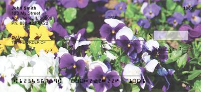 Petunias
