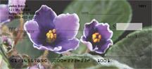 African Violets