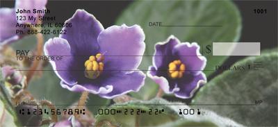 African Violets