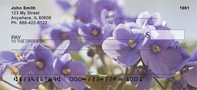 African Violets