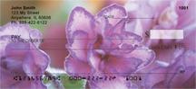 Pretty African Violets