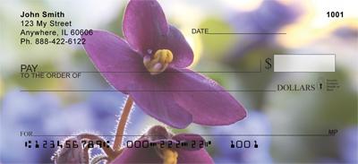 Pretty African Violets