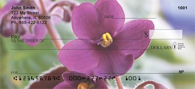 Pretty African Violets