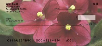 Pretty African Violets