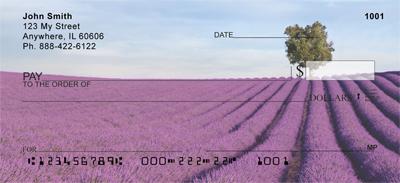 Lavender Fields of Provence