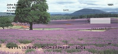 Lavender Fields of Provence