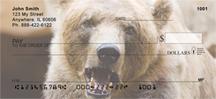 Bears