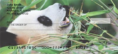 Pandas