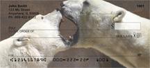 Polar Bears