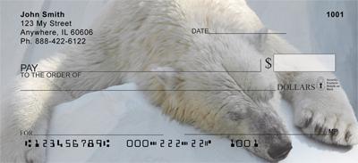 Polar Bears