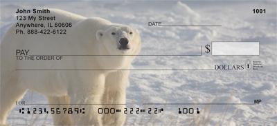 Polar Bears
