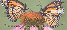Beautiful Butterflies