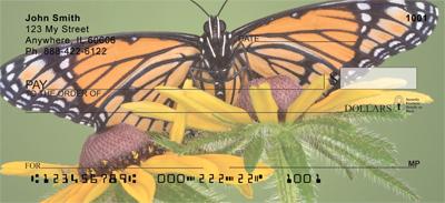 Beautiful Butterflies