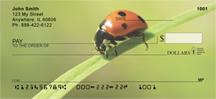 Ladybugs